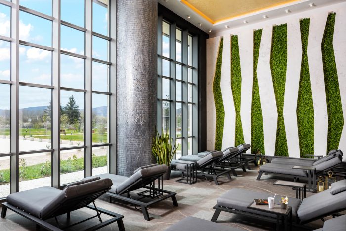 Нощувка с кауза от King’s Valley Medical & Spa Hotel